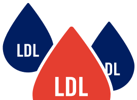 Hypercholesterinämie und gemischte Dyslipidämie